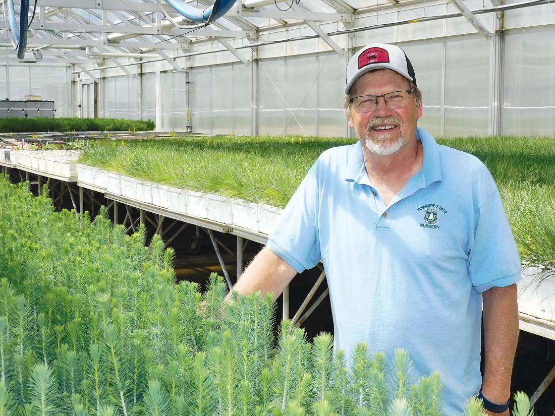 Towner State Nursery manager always interested in trees News, Sports